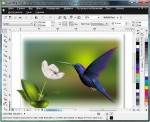 CorelDraw Graphics Suite X5 SP3 15.2 + Portable 