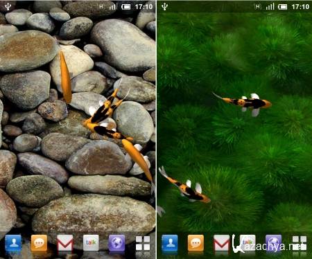 Koi Live Wallpaper (Android 2.1+)
