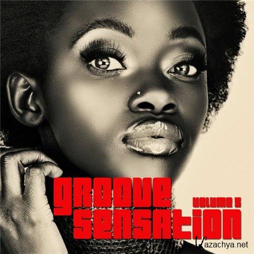 Groove Sensation Vol.5 (2011)