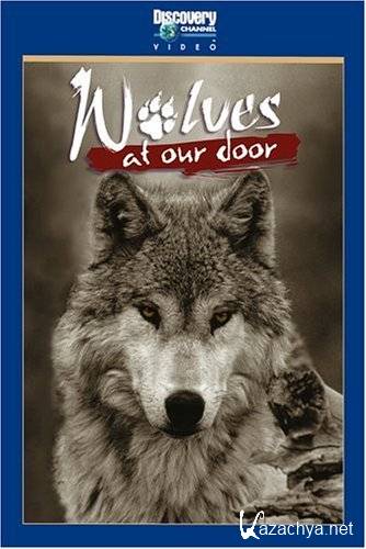    / Wolves at our doors (1999) TVRip