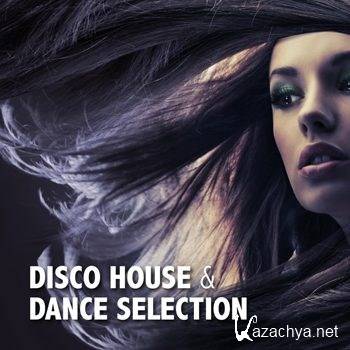 Disco House & Dance Selection (2011)