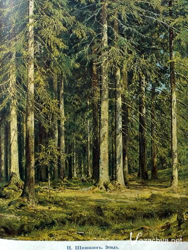 ����������� ������������� "����" (1912-1915)  