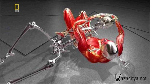 ����� ����������� ��� / Fight Science (2007) HDTV 1080i