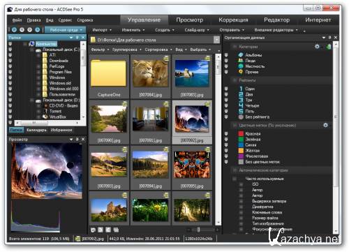 ACDSee Pro 5.2 Build 157 Final Portable (RUS)