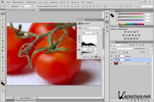 Adobe Photoshop CS6 beta (2012)  (mp4)