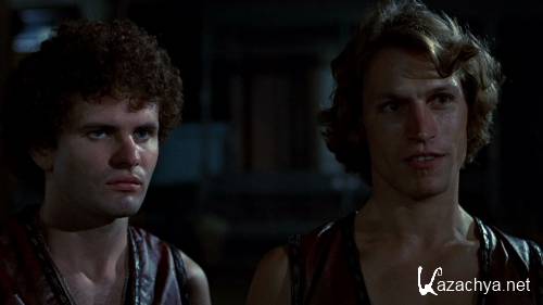  / The Warriors (1979) DVDRip + BDRip-AVC(720p) + BDRip 720p + BDRip 1080p + REMUX