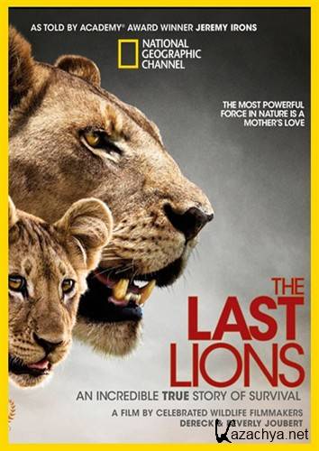 Последние львы / The Last Lions (2011) BDRip