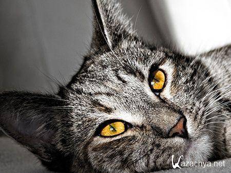 ��������� ����� �� ���� ���� �10