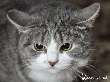 ��������� ����� �� ���� ���� �10