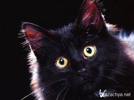 ��������� ����� �� ���� ���� �10