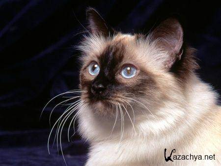 ��������� ����� �� ���� ���� �10