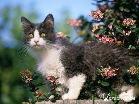 ��������� ����� �� ���� ���� �10