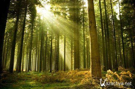 Коллекция обоев на тему Природа №13 Коллекция обоев на тему Природа №13