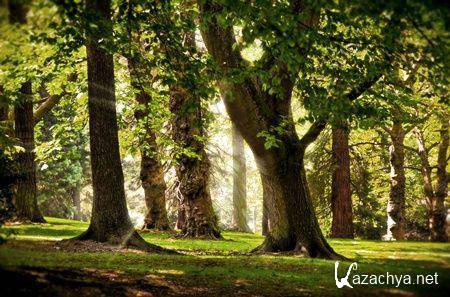 Коллекция обоев на тему Природа №13 Коллекция обоев на тему Природа №13