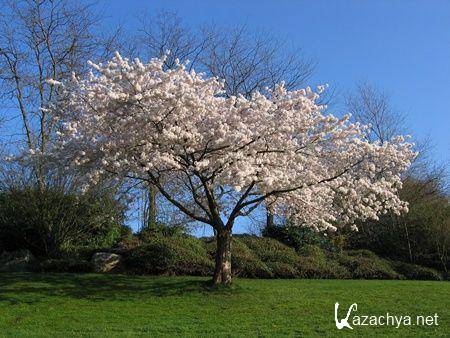 Коллекция обоев на тему Природа №13 Коллекция обоев на тему Природа №13