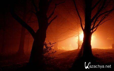 Коллекция обоев на тему Природа №13 Коллекция обоев на тему Природа №13