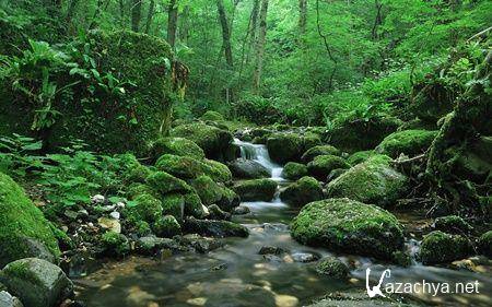 Коллекция обоев на тему Природа №13 Коллекция обоев на тему Природа №13