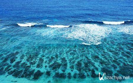 Коллекция обоев на тему Природа №13 Коллекция обоев на тему Природа №13