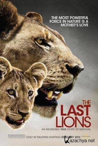   / The Last Lions (2011/BDRip/1200mb)