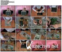 ���� ����������� ������� (2011)