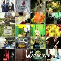 ����� ��������. ������� (16.05.2012) DVB