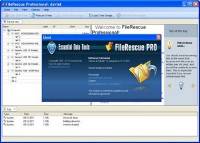 FileRescue Professional 4.6 build 183 