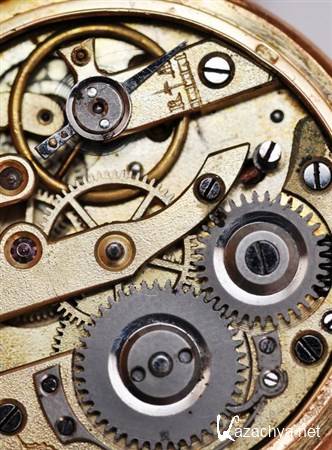 ������ ����� � �������� ���������