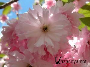 Colorful Wallpapers Pack #603