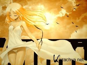 Colorful Wallpapers Pack #603