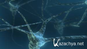 Selected Wallpapers Pack #602