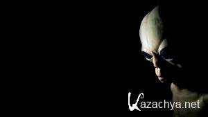 Selected Wallpapers Pack #602