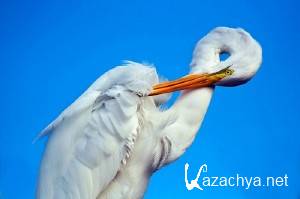 Computer Desktop Wallpapers Collection #396