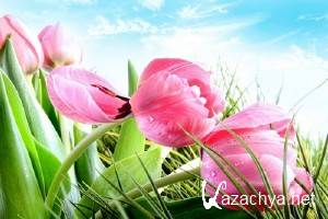 Computer Desktop Wallpapers Collection #396