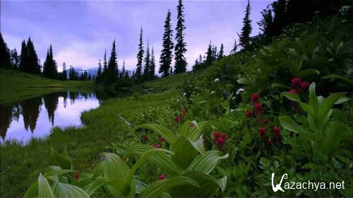    :   / North American National Parks: Visions of Majesty (2006) BDRip 1080p