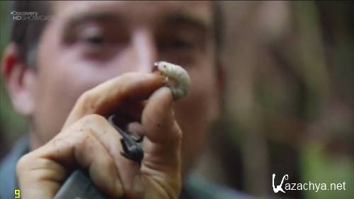 Discovery: ������ ����� �����: ��������� / Guatemala (2010) SATRip