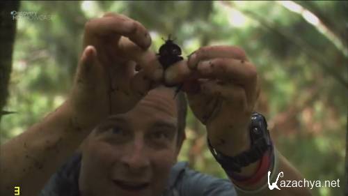 Discovery: ������ ����� �����: ��������� / Guatemala (2010) SATRip