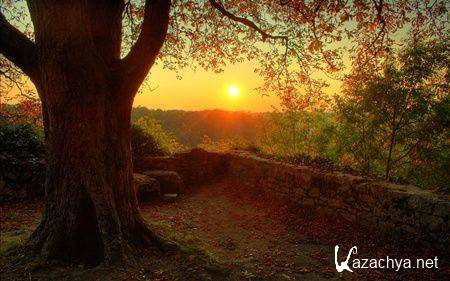 ��������� ����� �� ������ �������� �56