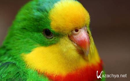 Сборник широкоформатных обоев (Часть 489) Сборник широкоформатных обоев (Часть 489)