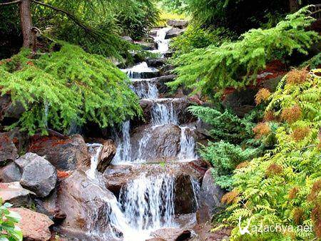 ��������� ����� �� ���� ��������