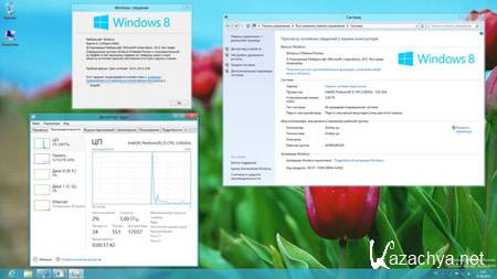 Windows 8 Release Preview 32/64-bit DVD WPI 2012 RUS