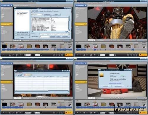 SolveigMM Video Splitter 3.2.1206.6 Final (2012/Rus)