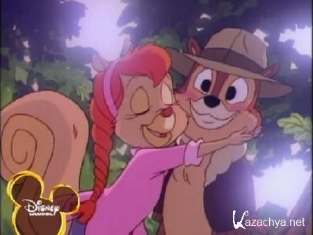    c   / Chip and Dale Rescue Rangers (Episode 1-65 of 65) (1989-1992 ) SatRip