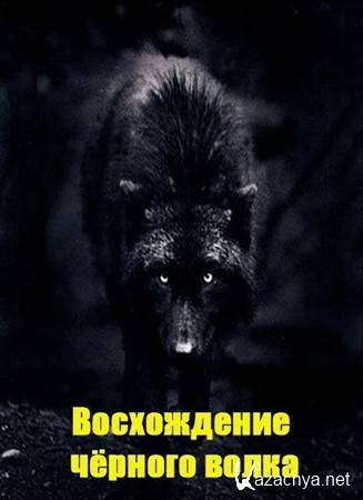    / The Rise of Black Wolf (2010) SATRip