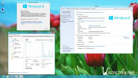 Windows 8 (+ Wpi, + Office 2010)