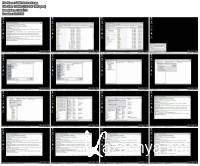 �������� Winlock ��� ������ Liv� CD (2011)