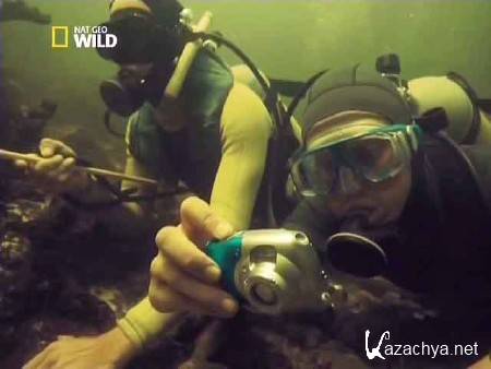 ������������ �������� / Croc Labyrinth (2011) SATRip 