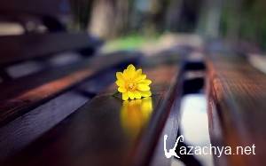 Computer Desktop Wallpapers Collection #431