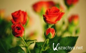 Computer Desktop Wallpapers Collection #431