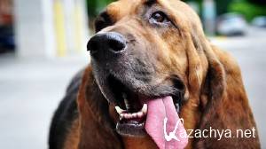 Computer Desktop Wallpapers Collection #431