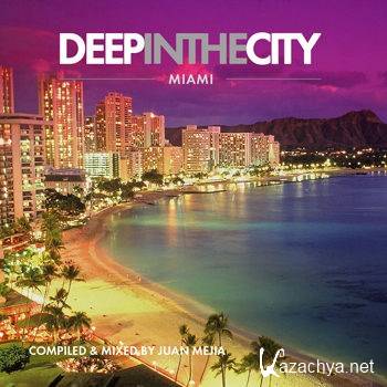Deep In The City: Miami (2012)